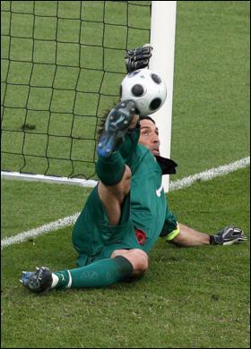 Buffon pic 7