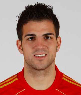 Fabregas face 2