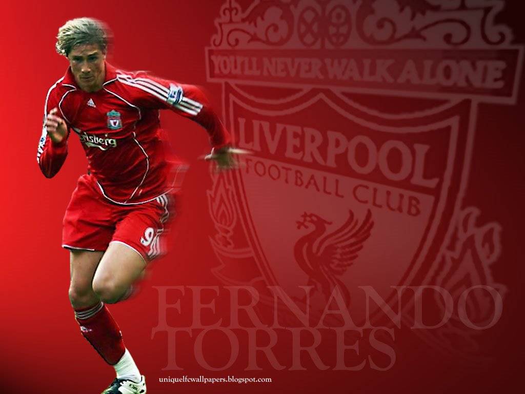 fernando torres