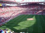 Estdio da Luz Stadiums