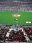 Luzhniki Stadion Estonie