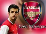 Fabregas walpaper