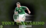 Tony Cascarino wallpaper