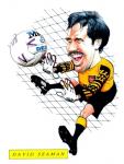 david seaman